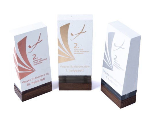 awards for glider race 1