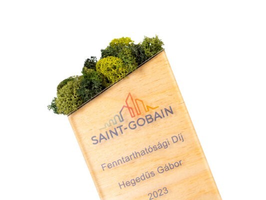 saint gobain award for sustainability